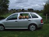 VOITURE - CAR 226